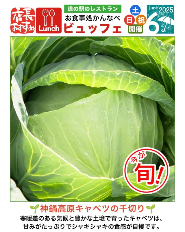 お食事処かんなべ＜2025年6月の土日祝ビュッフェ＞⭐︎店長おすすめメニュー⭐︎
神鍋高原の旬◇キャベツシーズンの到来です◇6月15日(日)はキャベツまつりも開催！
絶品の手作り漬物ビュッフェも好評につき継続してご提供しております。
◇2025年6月現在、土日祝の「神そば」販売はございません。
◇出荷状況、品切れ等により一部メニュー内容を変更する場合がございます。 
◇食材を直売所でお買い求めいただけます。
◇お食事処かんなべのスケジュールはホームページNews内＜神鍋ほっこり通信＞のカレンダーでご確認ください。
@michinoeki_kannabeko_gen → https://linktr.ee/michinoeki_kannabe
#神鍋高原ビュッフェ #兵庫グルメ巡り #手作り漬物ビュッフェ #道の駅グルメ #週末ランチスポット #豊岡市 #神鍋 #ランチ 
-——————————————
温泉、お食事、お買い物、豊かな自然に囲まれて。兵庫県北部、豊岡市にある道の駅「神鍋高原」( @michinoeki_kannabeko_gen )
〒669-5372 兵庫県豊岡市日高町栗栖野59-13
TEL 0796-45-1331
公式LINE https://lin.ee/OdEmZsS
-——————————————